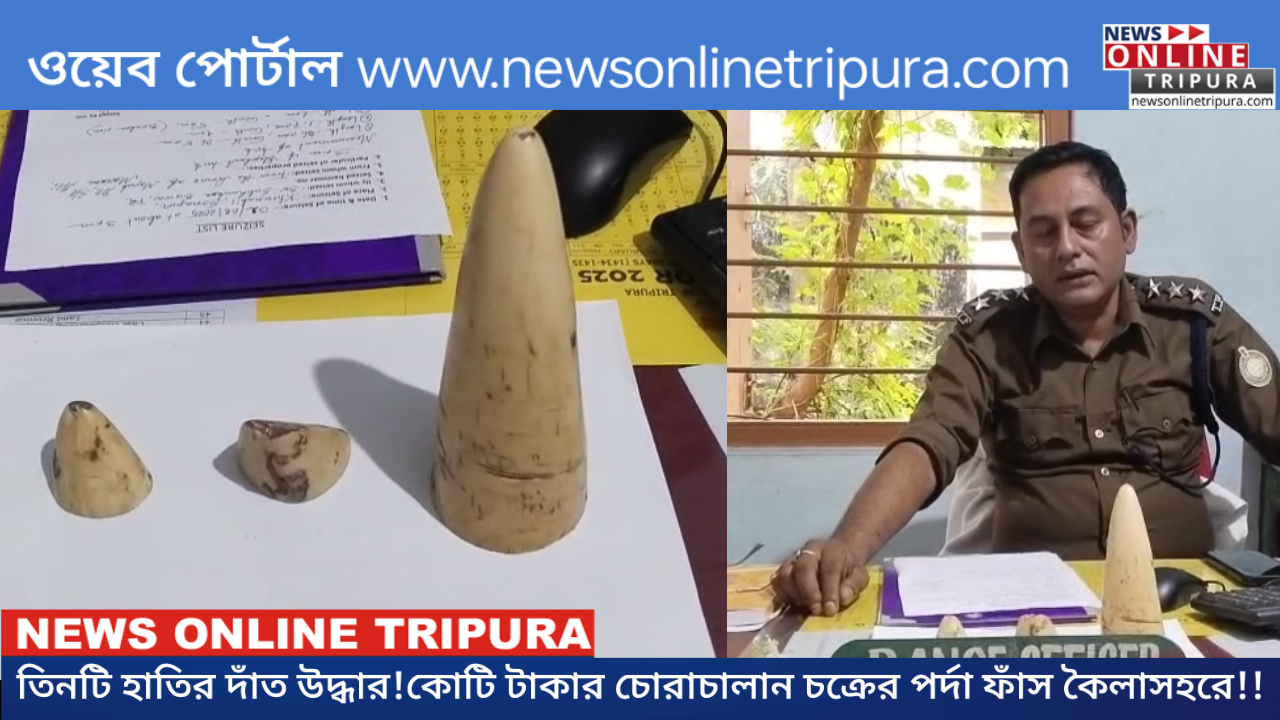 তিনটি হাতির দাঁত উদ্ধার!কোটি টাকার চোরাচালান চক্রের পর্দা ফাঁস কৈলাসহরে!!